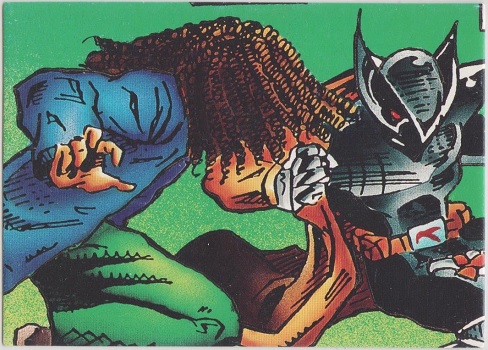 ShadowHawk Collector Card #17